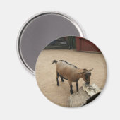 3 april (11) Magneet (Voorkant / Achterkant)