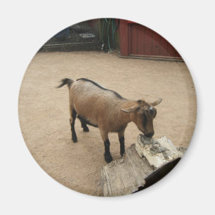 3 april (11) Magneet