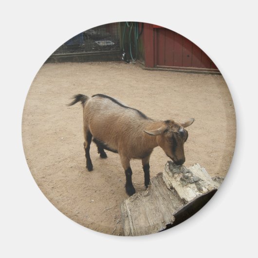 3 april (11) Magneet (Voorkant)