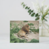 3 april (1) Briefkaart (Staand voorkant)