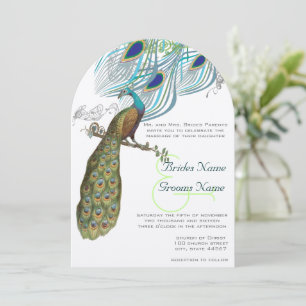 3 Aqua Pauw Vintage Veren & Vogel Kaart