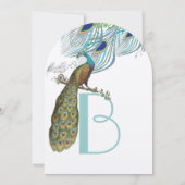 3 Aqua Peacock  veren en vogel Kaart (Achterkant)