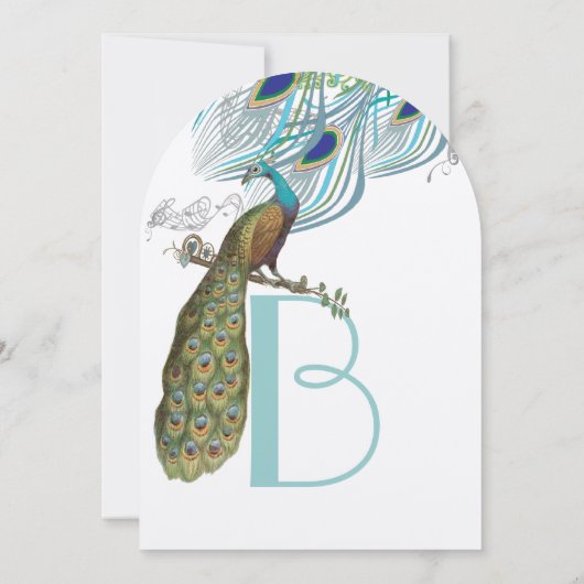 3 Aqua Peacock veren en vogel Kaart (Achterkant)