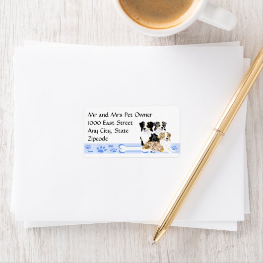 3 Australische herders op Blue Gingham Etiket (Insitu)