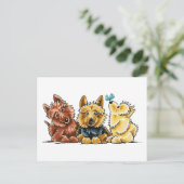 3 Australische Terriers Briefkaart (Staand voorkant)