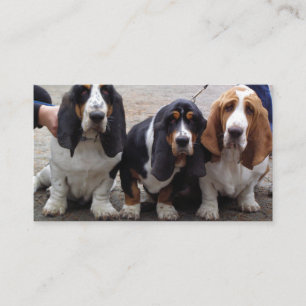 3 Basset_hound_puppy's Visitekaartje