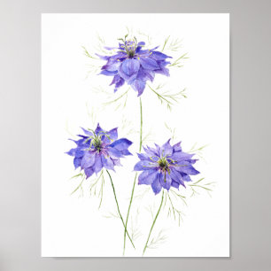 3 Blauwe paarse nigellabloemen Wildbloem Poster