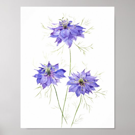 3 Blauwe paarse nigellabloemen Wildbloem Poster (Voorkant)