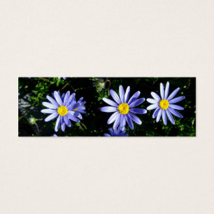3 blauwe zonnen mini visitekaartjes