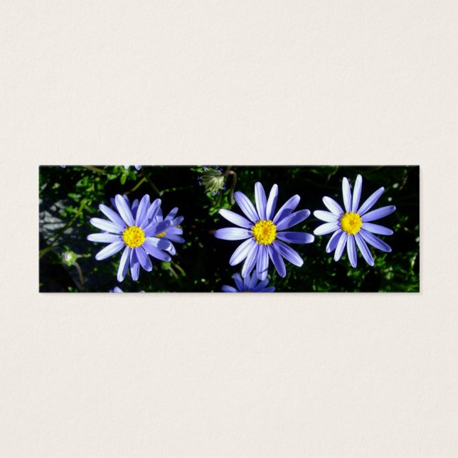 3 blauwe zonnen mini visitekaartjes (Voorkant)