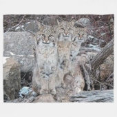 3 BOBCATS FLEECE DEKEN (Voorkant (Horizontaal))