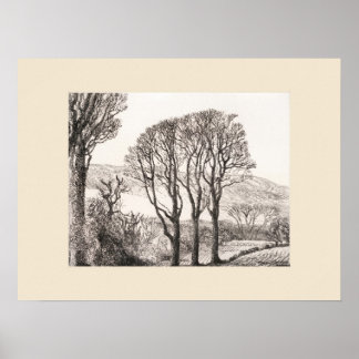 3 Bomen Cornwall Print, Eleanor M Hughes Re-Strike Poster