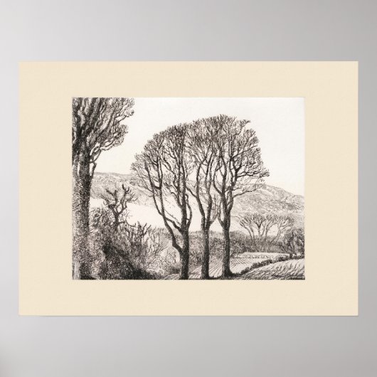 3 Bomen Cornwall Print, Eleanor M Hughes Re-Strike Poster (Voorkant)