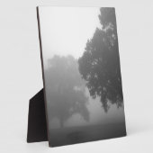 3 bomen fotoplaat (Zijkant)