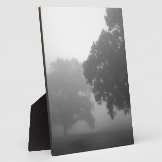 3 bomen fotoplaat (Zijkant)