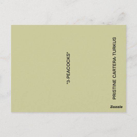 3 BRIEFKAART PEACOCKS (Achterkant)