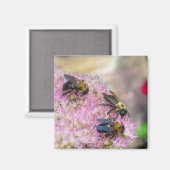3 Bumblebijen Magneet (Voorkant / Achterkant)