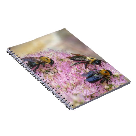 3 Bumblebijen Notitieboek (Rechterzijde)