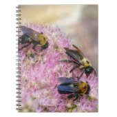 3 Bumblebijen Notitieboek (Voorkant)