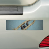 3 Bumpersticker koeien (Op auto)