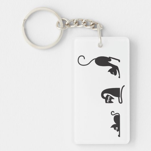 3 cats sleutelhanger (Voorkant)