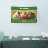 3 cavia's op gras spandoek (Beurs)