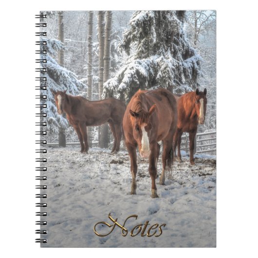 3 Chestnut Dun Ranch Horses in een winterbos Notitieboek (Voorkant)