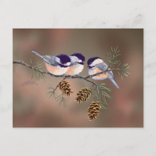 3 CHICKADEES EN PINE CONESby SHARON SHARPE Briefkaart