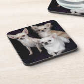 3 chihuahua onderzetter (Linkerzijde)