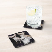 3 chihuahua onderzetter (Rechterzijde)