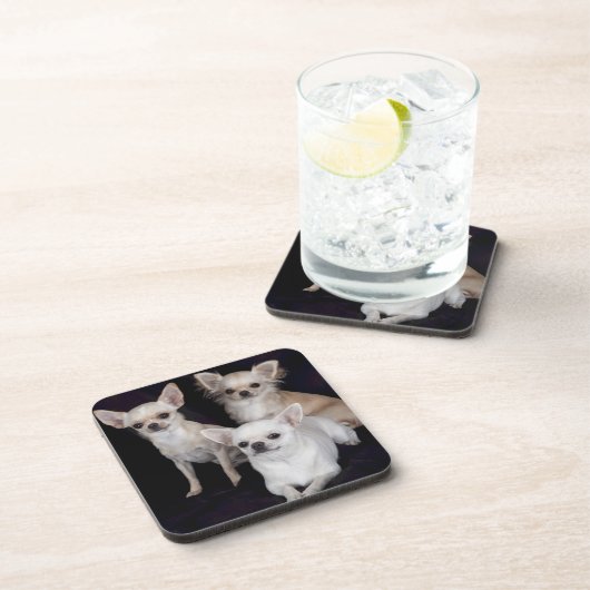 3 chihuahua onderzetter (Rechterzijde)
