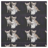 3 chihuahua stof (Swatch)
