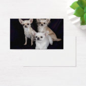 3 chihuahua visitekaartjes (Bureau)