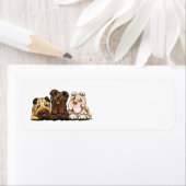 3 Chinese Shar Pei Etiket (Insitu)