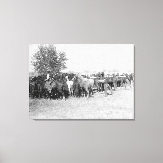 3 Cowboys Roping Horses PhotographySouth Dakota Canvas Afdruk (Voorkant)