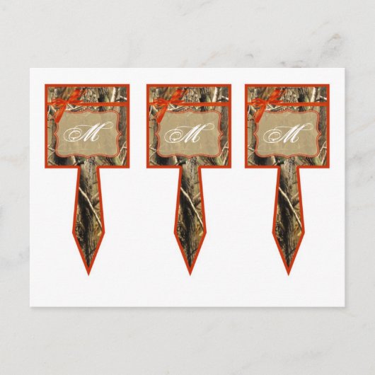 3 Cup Cake Picks Hunters Camoflouge Camo Sinaasapp Briefkaart (Voorkant)