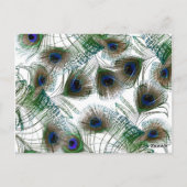 3 Cup Cake Picks Peacock Feathers Blauw/Groen Briefkaart (Achterkant)