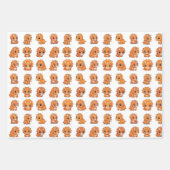 3 Cute Dinosaur Pattern Birthday Wrapping Paper Se (Voorkant)