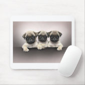 3 Cute Pug Pippies Muismat (Met muis)