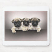 3 Cute Pug Pippies Muismat (Voorkant)