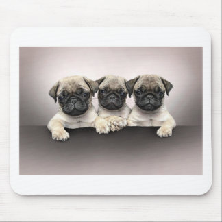 3 Cute Pug Pippies Muismat