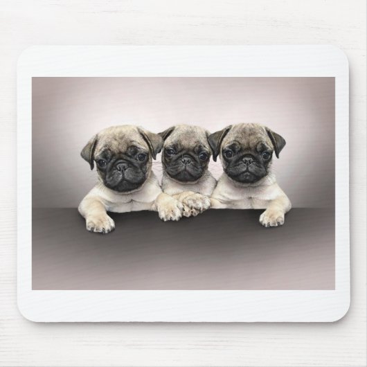 3 Cute Pug Pippies Muismat (Voorkant)