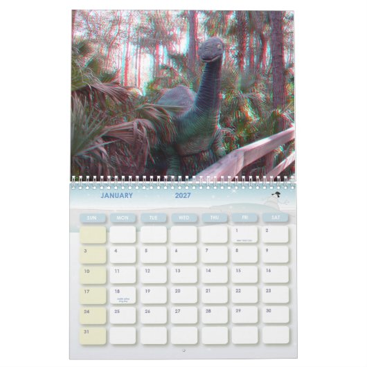 3-D Anaglyph Photo Calendar Kalender (Jan 2027)