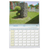 3-D Anaglyph Photo Calendar Kalender (Feb 2027)