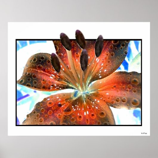 3-D Art Lilie Poster (Voorkant)