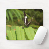 3-D Butterfly Muismat (Met muis)