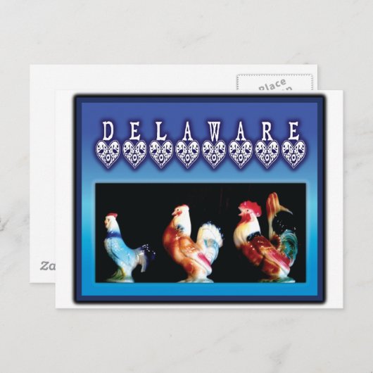 3 de Kippen van Delaware Briefkaart (Voorkant / Achterkant)