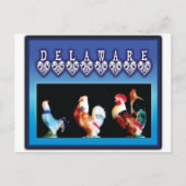 3 de Kippen van Delaware Briefkaart (Voorkant)