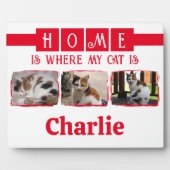 3 Dierlijk huisdier foto collage wit rood Fotoplaat (Voorkant)