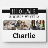 3 Dierlijk huisdier foto collage wit zwart Fotoplaat (Voorkant)